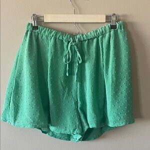 Culture Code Micah Swiss Dot Sweet Mint Leaf Green Women's Shorts, size Large